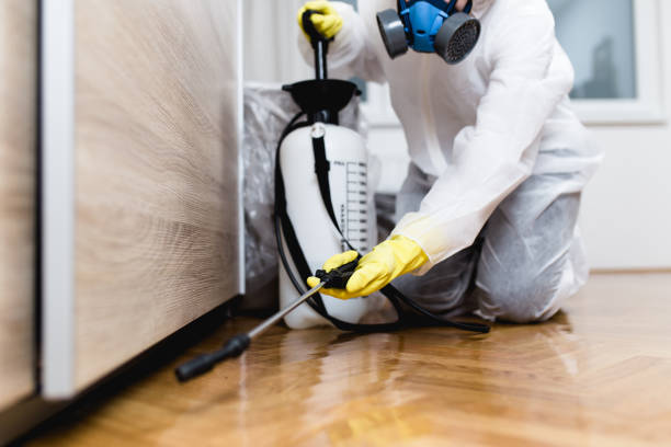 Best Exterminator Services  in Ludlow, KY