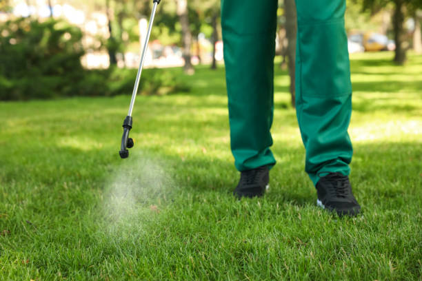 Best Commercial Pest Control Services  in Ludlow, KY