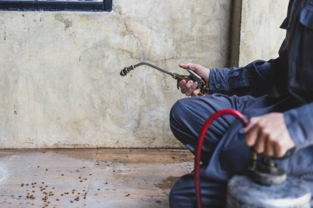 Best Best Pest Control Companies  in Ludlow, KY