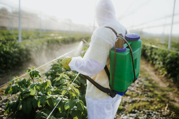 Best Local Pest Control Services  in Ludlow, KY